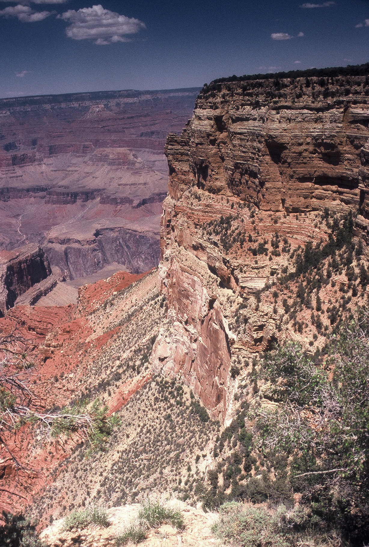Grand Canyon Star Party, 2006